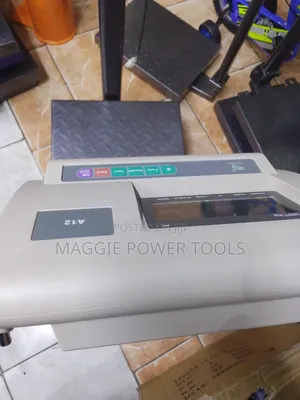 Well Performing and Professional a 12 Weighing Scale/300kg Scale