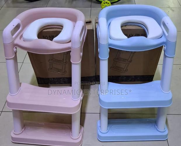Potty Ladder - main view