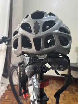 Pace Mountain Bike