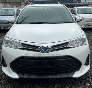 Toyota Corolla Fielder 2019 White