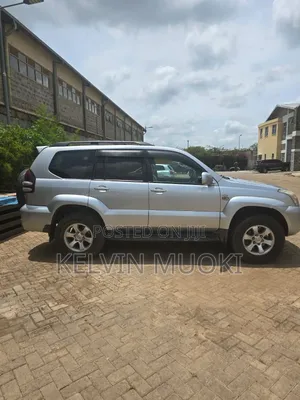 Toyota Land Cruiser Prado 2004 Gray