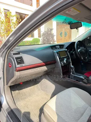 Toyota Mark X 2010 Silver