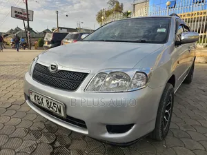 Toyota Corolla Fielder 2006 Silver