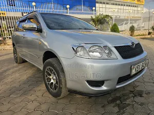 Toyota Corolla Fielder 2006 Silver