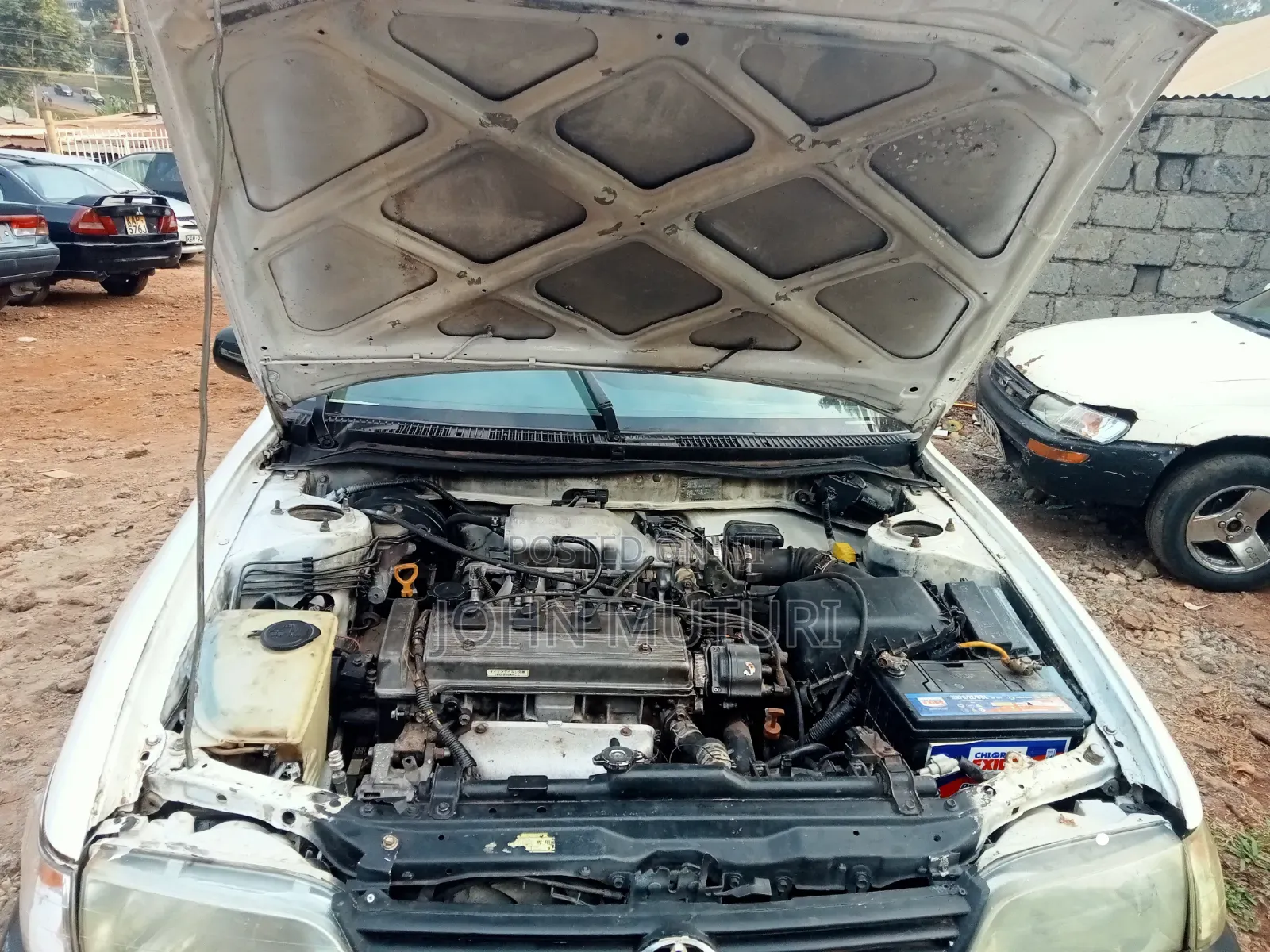 Toyota Corolla 1998 White