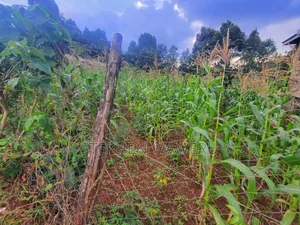 60 by 100 Plot for Sale in Kanunga