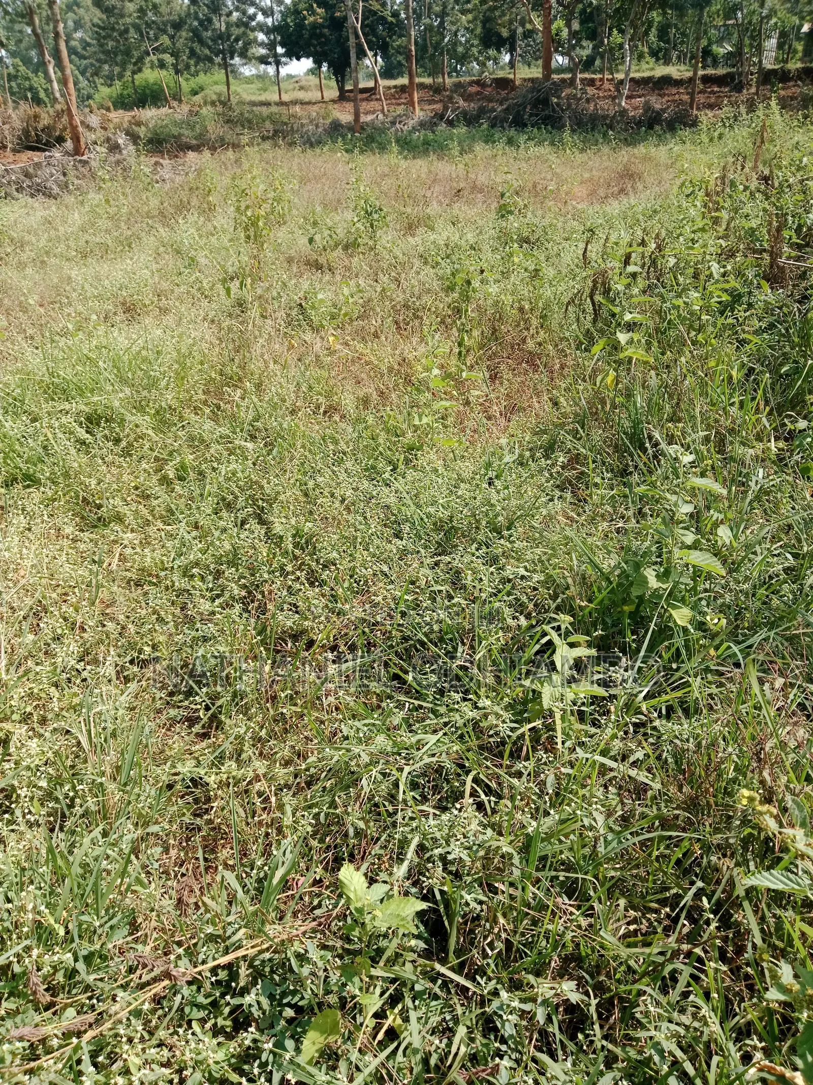 0.17acre Prime Land for Sale