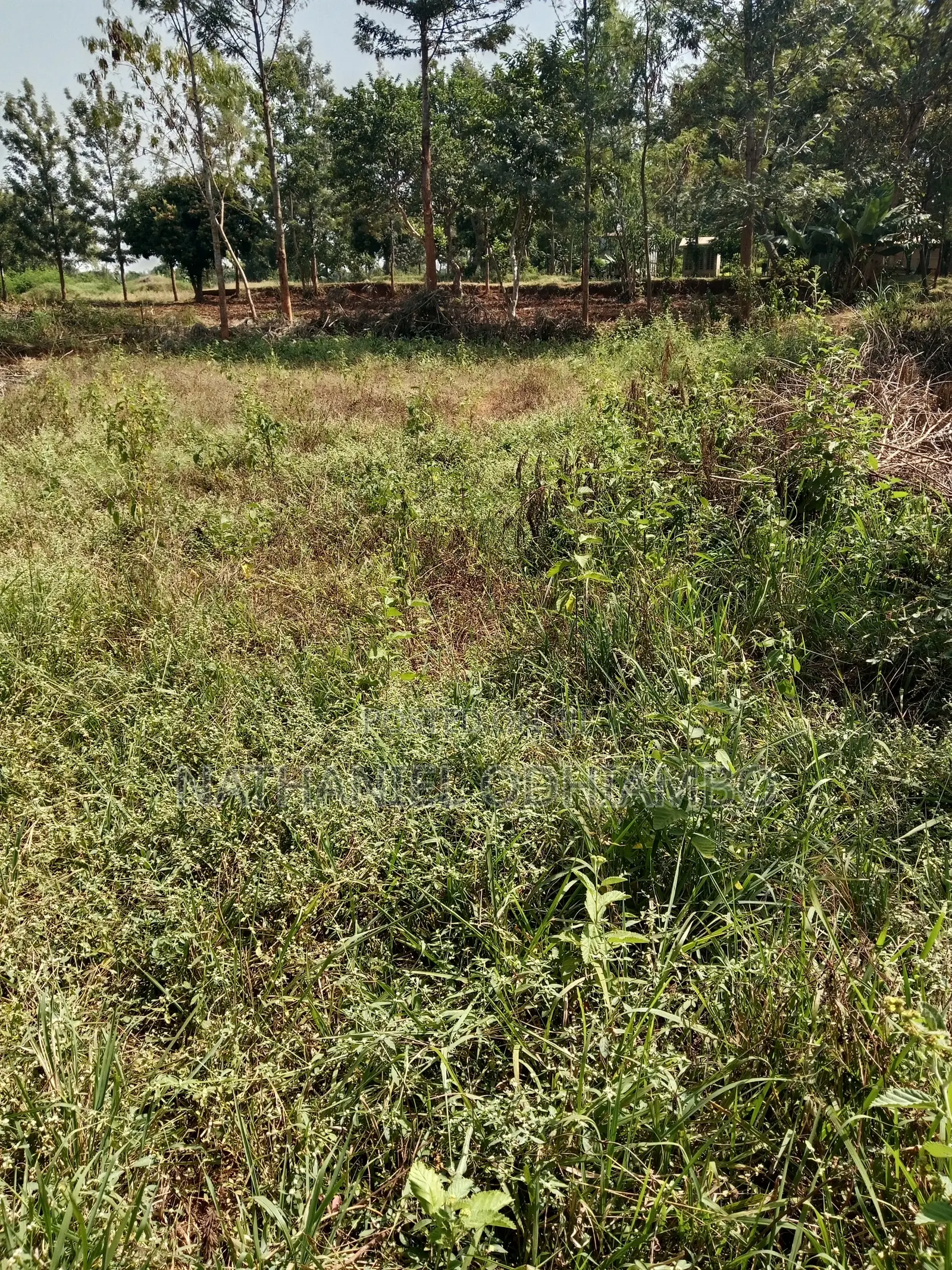 0.17acre Prime Land for Sale