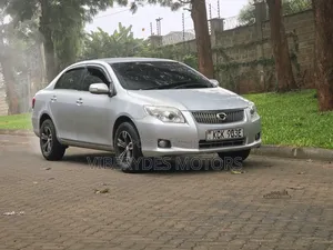 Toyota Axio 2010 Silver