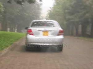Toyota Axio 2010 Silver