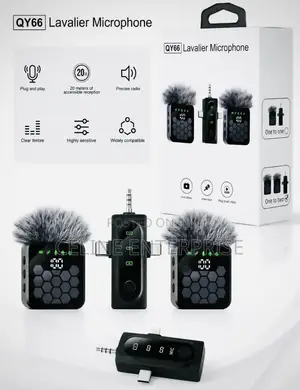 *Microphone Qy66