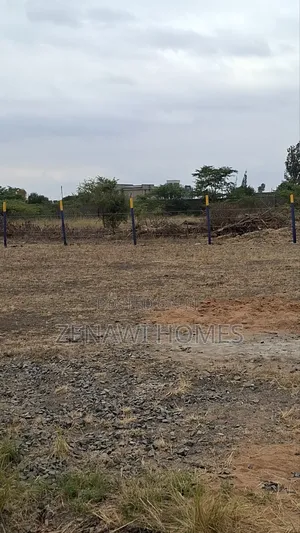 Perimeter Wall Plots in Jujafarm Jr