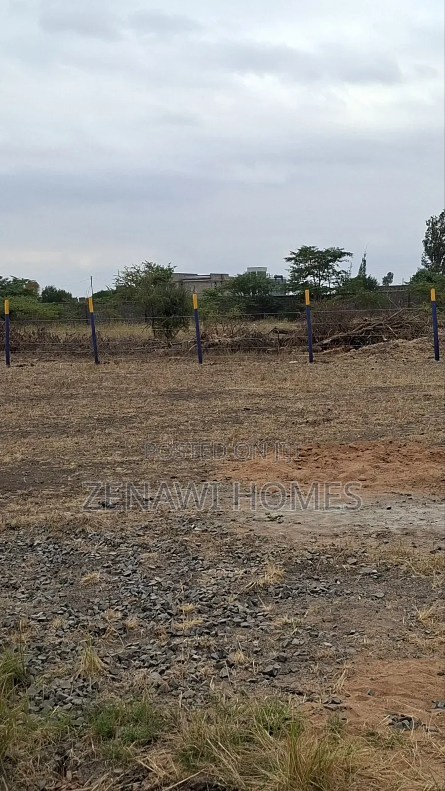 Perimeter Wall Plots in Jujafarm Jr