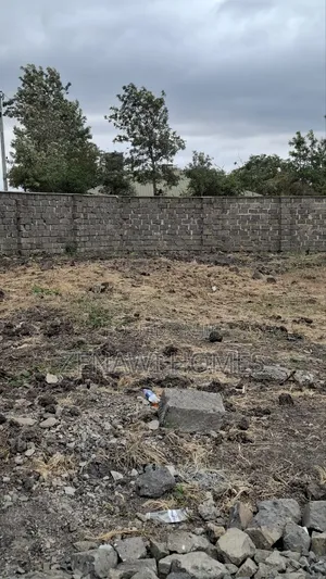 Perimeter Wall Plots in Jujafarm Jr