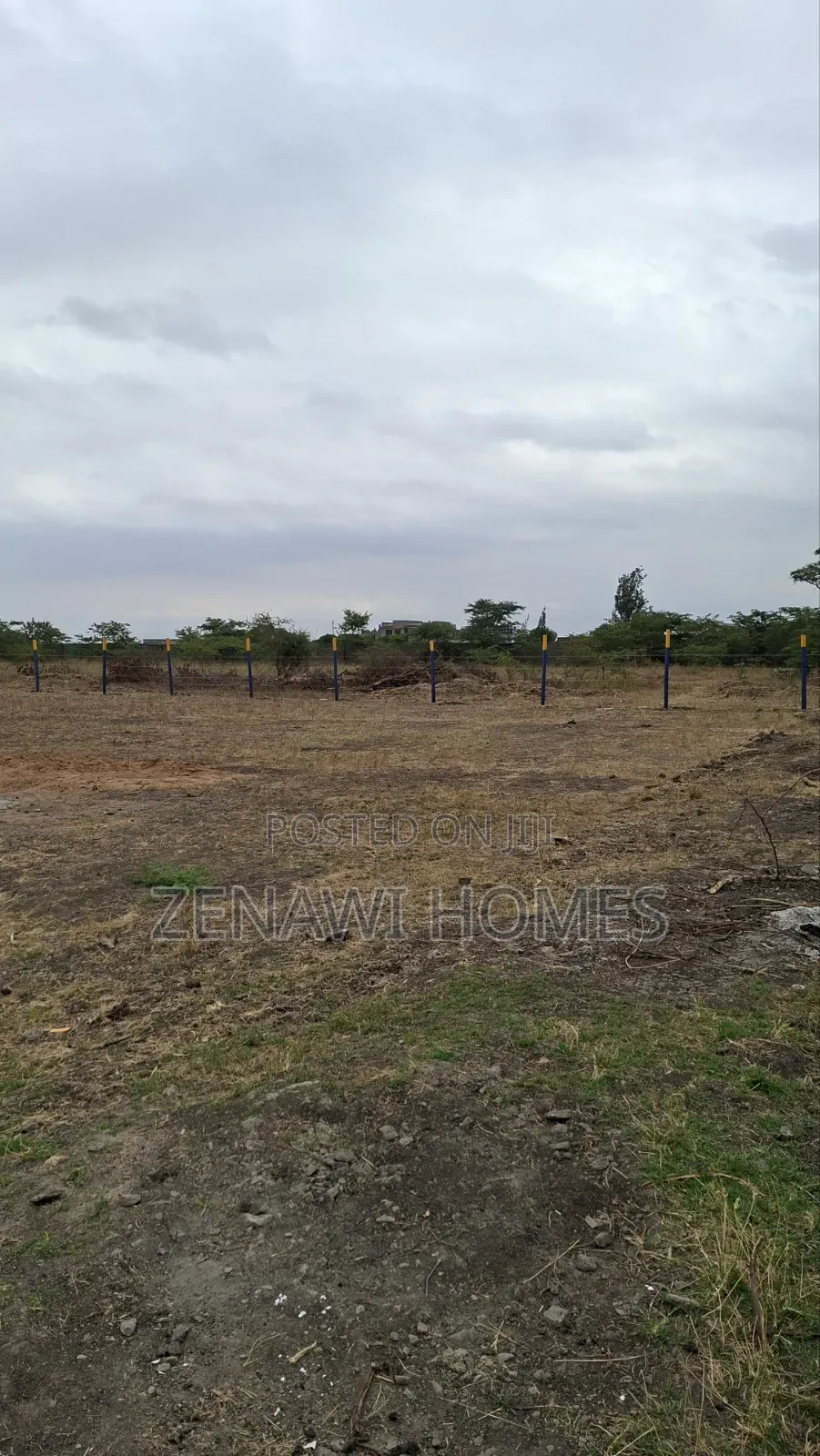 Perimeter Wall Plots in Jujafarm Jr