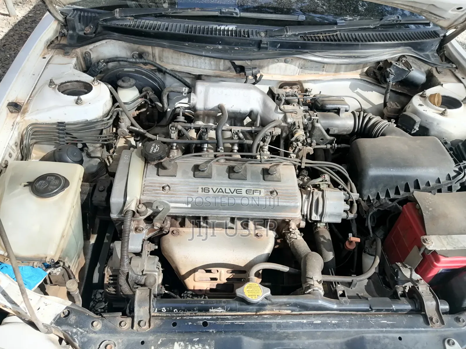 Toyota Corolla 2000 White