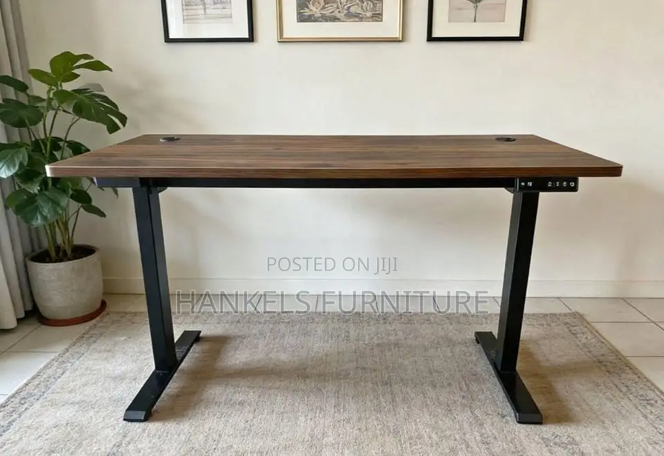 1.6m Electric Standing Adjustable Desk