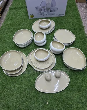 European Double Glazed Porcelain Dinner Set_arv