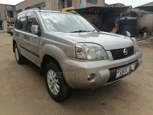Nissan X-Trail 2006 Gray