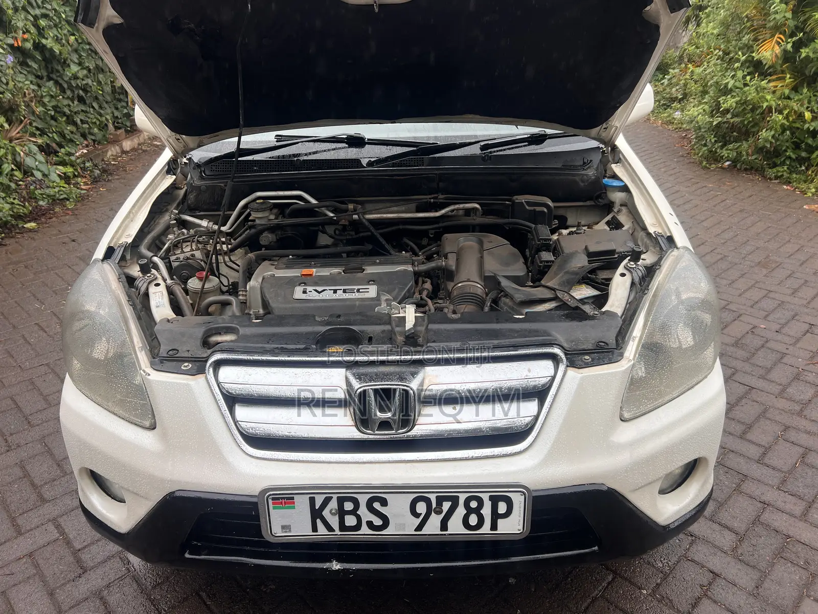 Honda CR-V 2005 Pearl