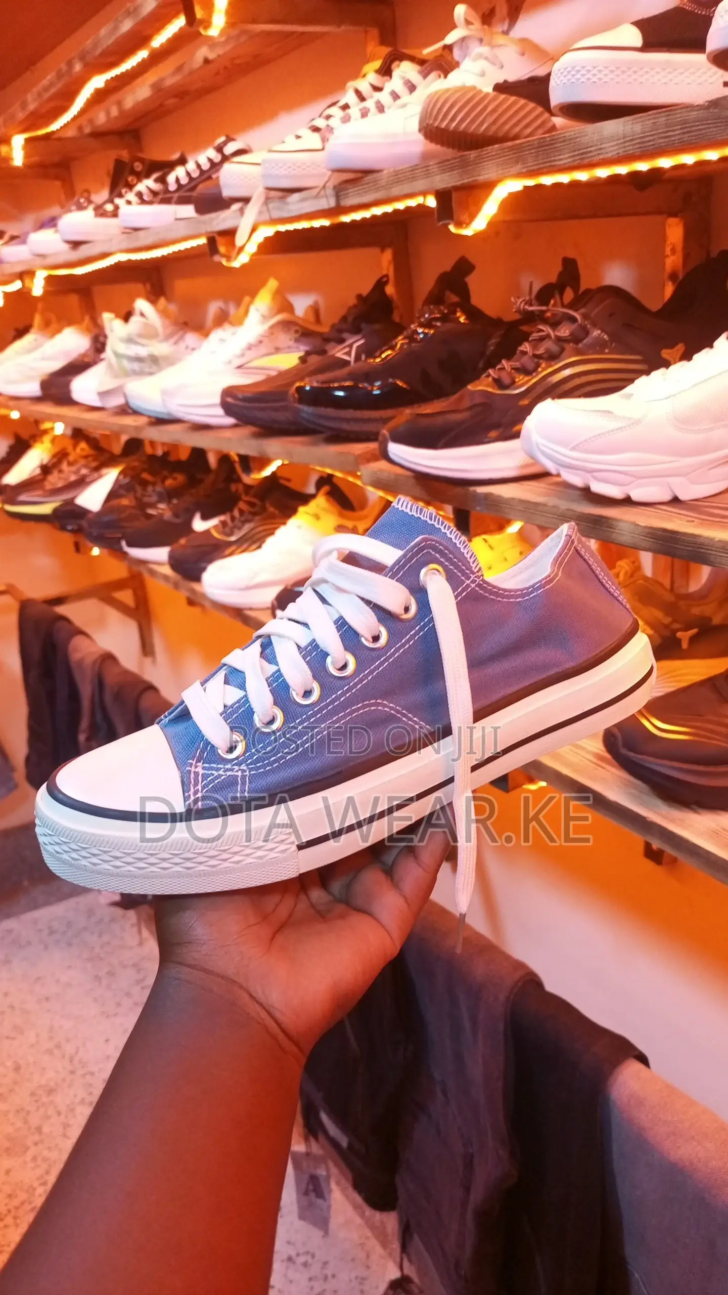 Vans,Sneakers