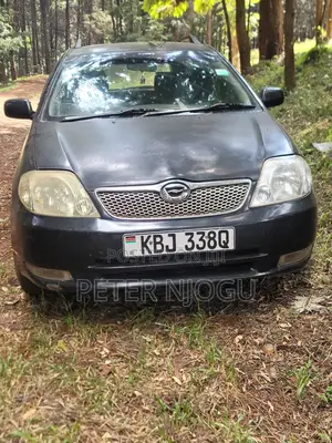 Toyota Corolla Fielder 2004 Black
