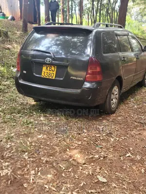 Toyota Corolla Fielder 2004 Black