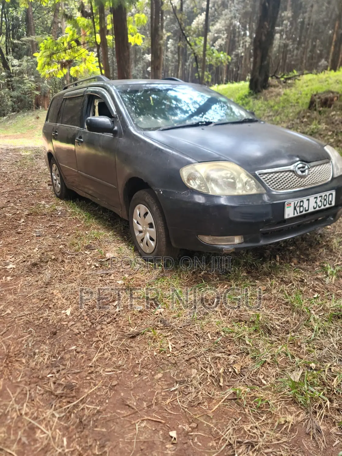 Toyota Corolla Fielder 2004 Black