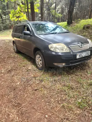 Toyota Corolla Fielder 2004 Black
