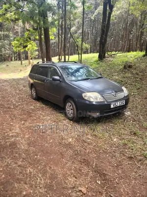 Toyota Corolla Fielder 2004 Black