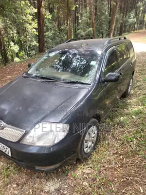 Toyota Corolla Fielder 2004 Black