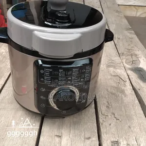 Instant Pot Cooks Everything Brand New