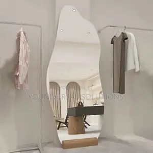 Dolphin Shape Acrylic Mirror