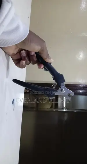 Stainless Steel Nail Cutter