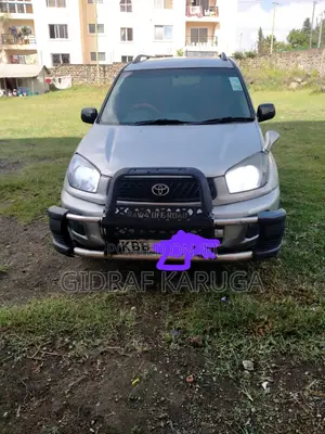 Toyota RAV4 2002 Silver