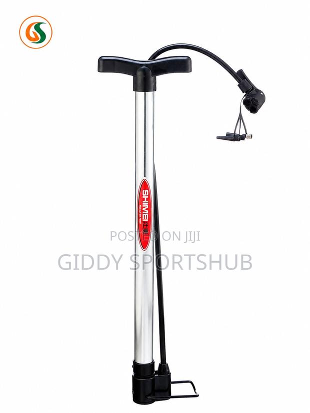 20-Inch Sports Ball Hand Pump