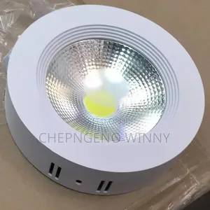 30watts Cob Surface Daylight