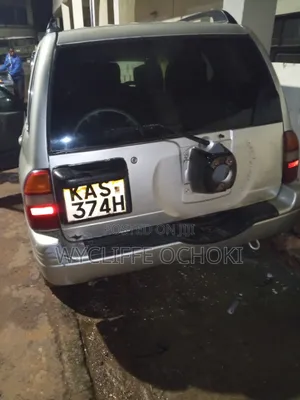Toyota Probox 2010 Silver