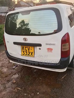 Toyota Probox 2010 Silver