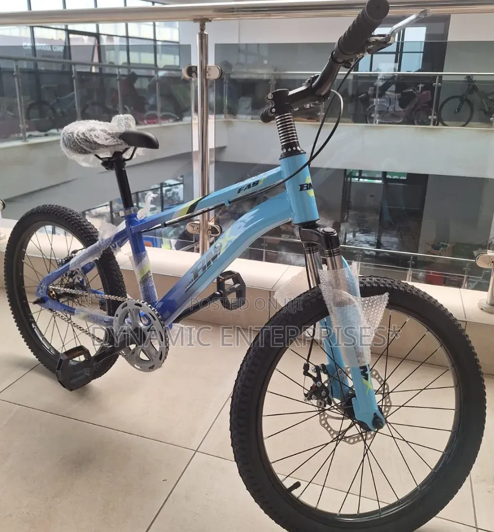 BMX Size 20