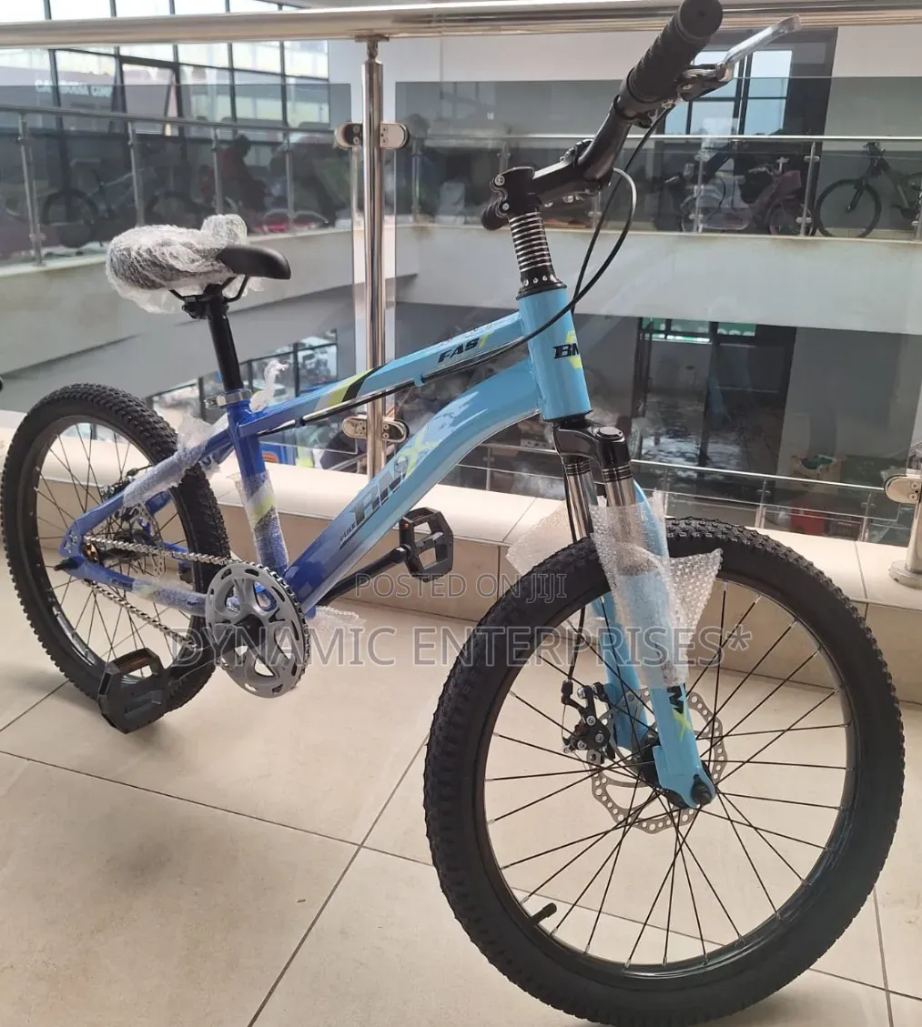 BMX Size 20