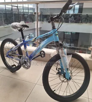 BMX Size 20