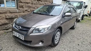 Toyota Corolla Fielder 2009 Gray