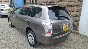Toyota Corolla Fielder 2009 Gray