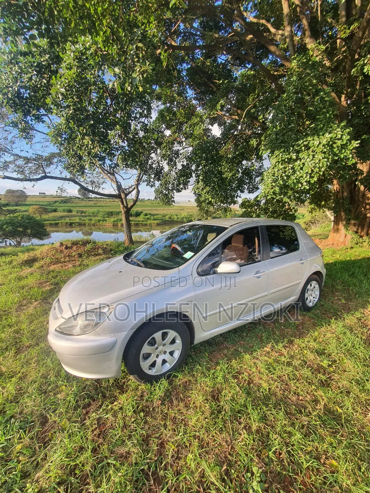 Peugeot 307 2002 Silver
