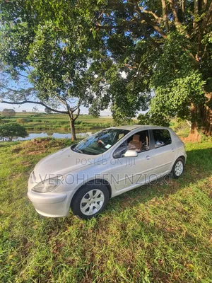 Peugeot 307 2002 Silver
