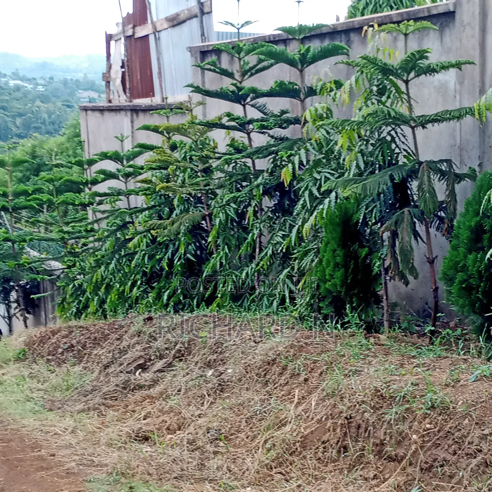50x100 Plot for Sale at Embu Muthatari Opposite Ntsa Offices Mugoya