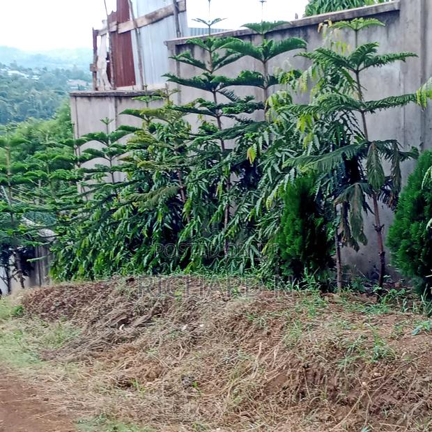 50x100 Plot for Sale at Embu Muthatari Opposite Ntsa Offices Mugoya