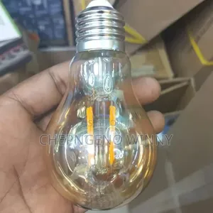 Filament Bulb A60