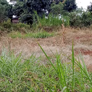 50 Acre Land for Sale at Masinga